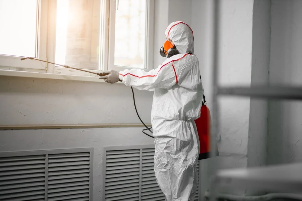 Professional mold remediation services in Smiley, TX